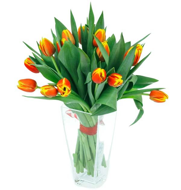 prosty bukiet tulipanów racibórz