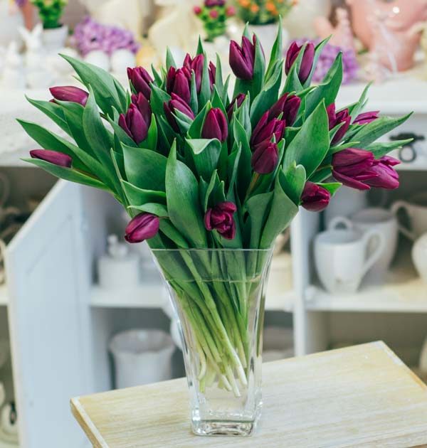 bukiet tulipanów fioletowy