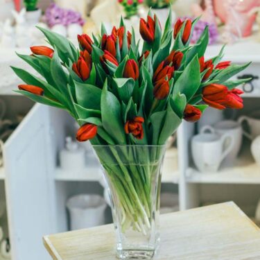 bukiet tulipanów czerwony