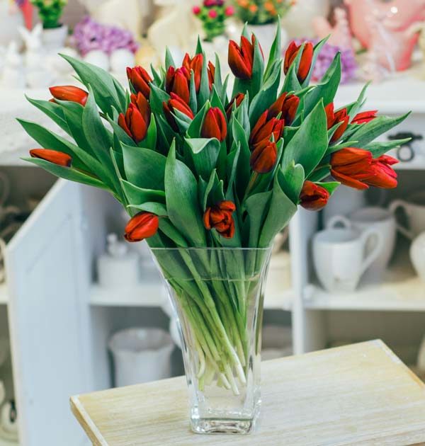 bukiet tulipanów czerwony