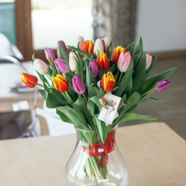 bukiet kolorowych tulipanow